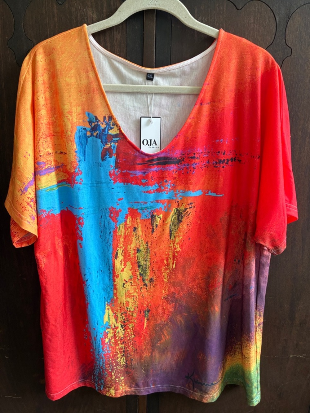 Women’s Multicolor V-Neck Art Print Top Amazon 4X LNWT